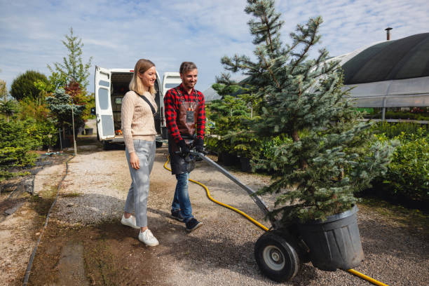 Best Storm Damage Tree Cleanup  in USA